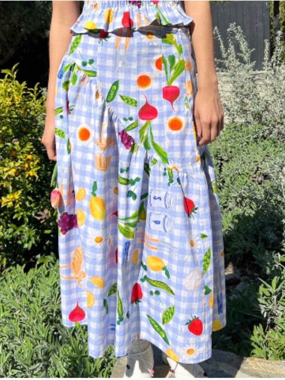 NWT Lisa Says Gah Maeve Midi Skirt Picnic Alfresco Gingham Blue
Fruit Vegetable